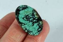 Awesome 20.2ct spiderweb Turquoise Cabochon
