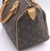 Louis Vuitton Speedy Monogram Purse