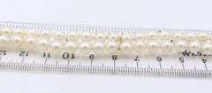 Elegant Yellow Gold Double Strand 5.5mm Pearl Bracelet