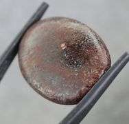 Awesome 23.87ct cabochon cut from dinosaur bone