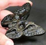 Scary 285ct Obsidian Skull Butterfly Carving