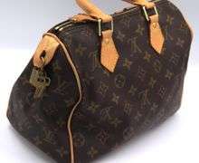 Louis Vuitton Speedy Monogram Purse