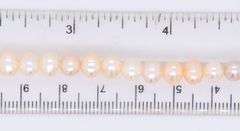 Set of Fresh Water Pearl Necklace, Bracelet and Stud Earrings