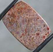 Highly figurative 22.95ct dinosaur bone cabochon