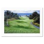 Mauna Kea - Eleventh Hole by Peter Ellenshaw
