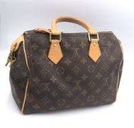 Louis Vuitton Speedy Monogram Purse