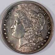1885 Toned Slider Morgan Dollar