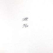 Mary by Steve Kaufman