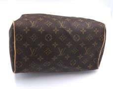 Louis Vuitton Speedy Monogram Purse