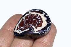 Highly figurative 44.25ct Koroit boulder Opal