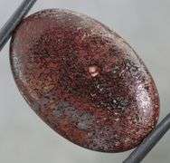 Awesome 23.87ct cabochon cut from dinosaur bone