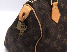 Louis Vuitton Speedy Monogram Purse