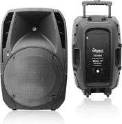 1600W 15in PA Speaker: Powerful Sound