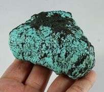 Giant! 665ct spiderweb Turquoise