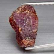 Unheated 14.71ct collectors uncut Ruby