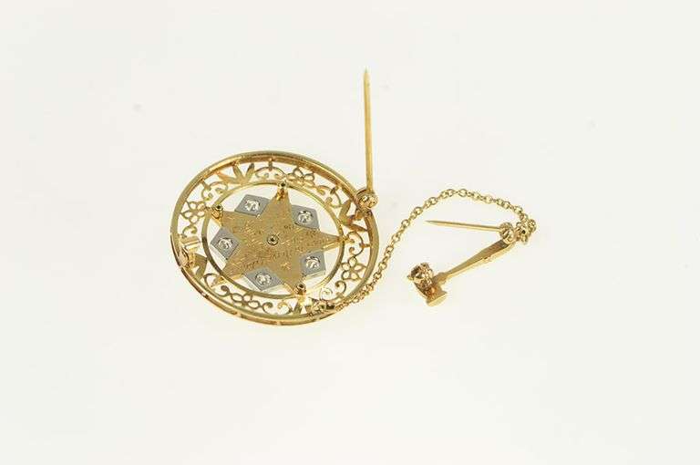 14K Yellow Gold Diamond Order of the Eastern Star Enamel Pin/Brooch