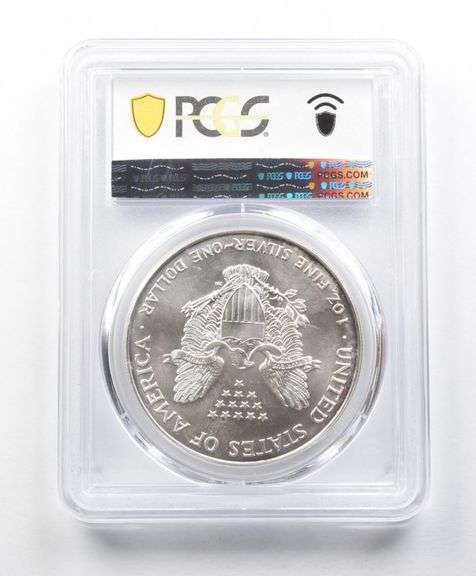 MS69 1995 American Silver Eagle PCGS Peripheral Toning