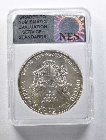 MS70 1993 American Silver Eagle NES