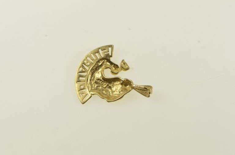 14K Yellow Gold Aquarius Ganymede Astrology Zodiac Sign Charm/Pendant