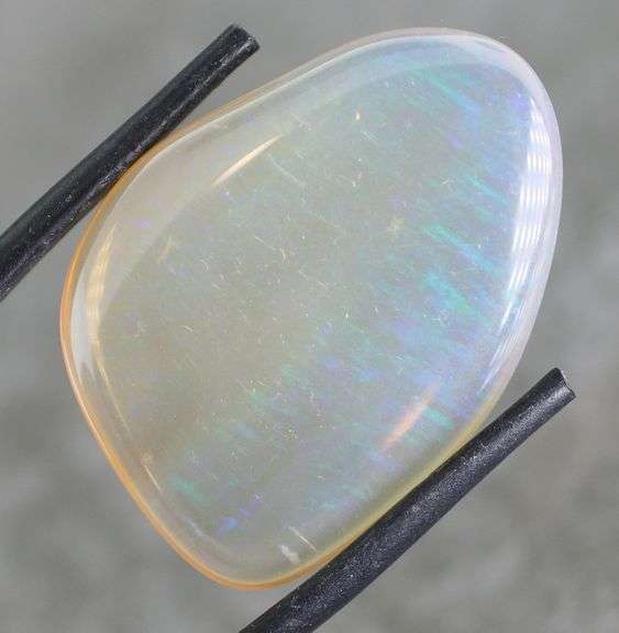 Simply amazing 18.51ct free form Opalized Agate cabochon