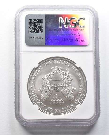 MS70 2008-W Rev Of 2007 Burnished Silver Eagle NGC