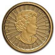 2022 Canada 1/10th Gold The Majestic Polar Bear Sealed In Plastic With Capsule