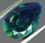 Silky 2ct Floral Fairy Fire Flashing Black Opal
