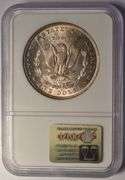 1884-O Morgan Silver Dollar NGC MS64 VAM10 Early Die State