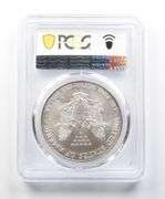 MS69 1996 American Silver Eagle PCGS Peripheral Toning