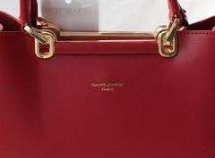 Sexy Red Color Designer Style Bag by David Jones-Paris