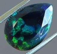Silky 2ct Floral Fairy Fire Flashing Black Opal