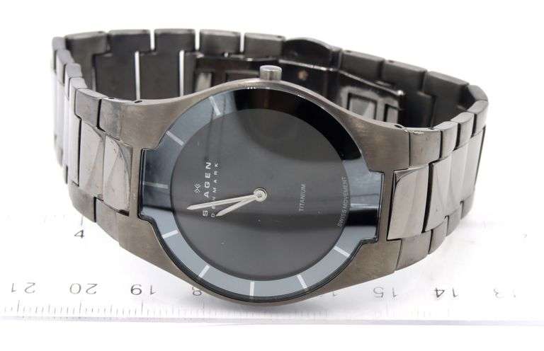 Skagen Thyge link band and Sunray grey quartz watch