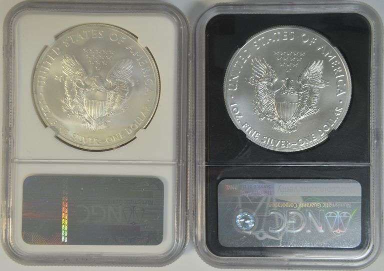 2 NGC MS70 First Releases American Silver Eagles: 2013 & 2018(W)