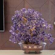 14” Large Amethyst Crystal Bonsai Tree