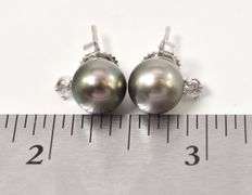 Dreamy Tahitian Pearl and Diamond Earrings in 14K White Gold