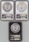 3 Diff. NGC MS70 graded American Silver Eagles from 2012