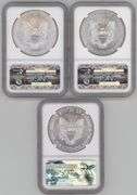 3 Diff. Perfect NGC MS70 graded American Silver Eagles 2013 to 2017