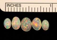Opal Cabochons - Lot of 5