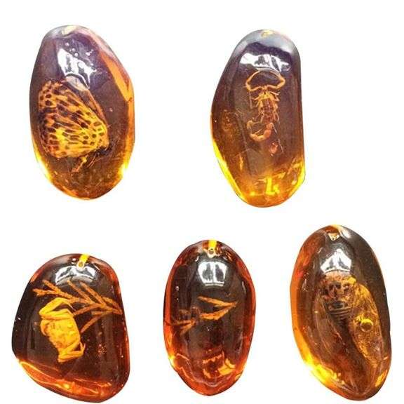 5pcs Insects Fossilized in Amber Collection
