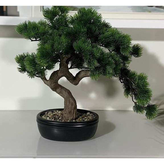 Realistic-Looking Juniper Bonsai Tree