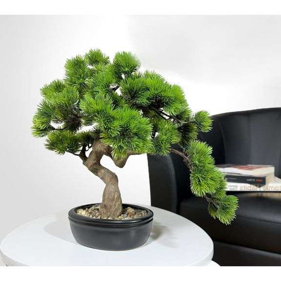Realistic-Looking Juniper Bonsai Tree