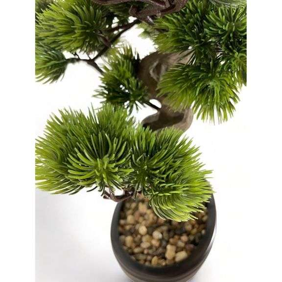 Realistic-Looking Juniper Bonsai Tree