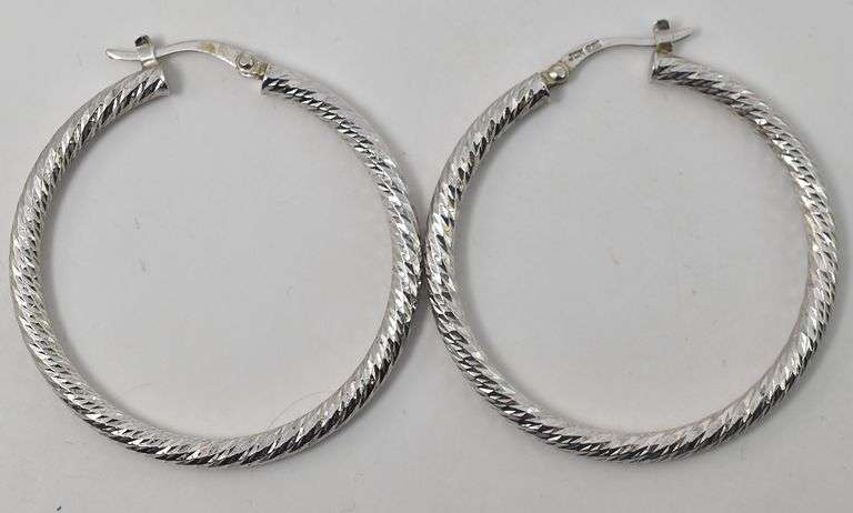Hoop Earrings in Sterling Silver