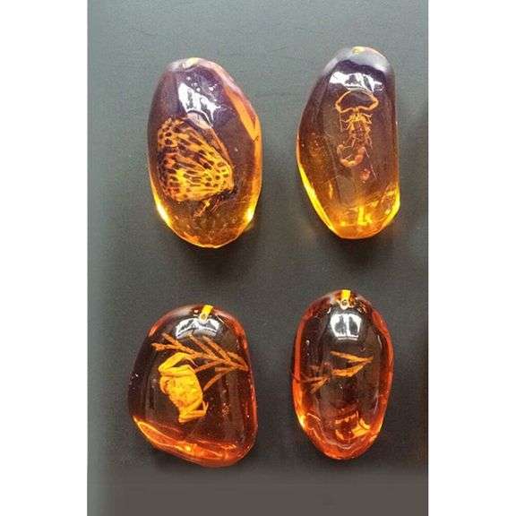 5pcs Insects Fossilized in Amber Collection