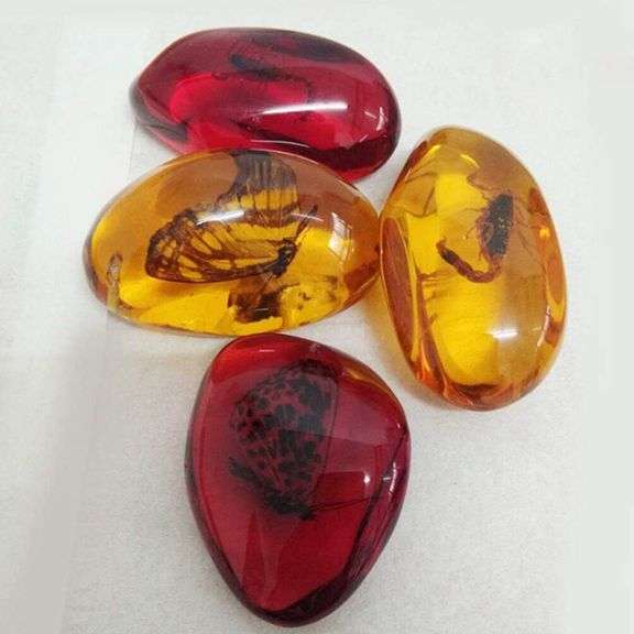 5pcs Insects Fossilized in Amber Collection