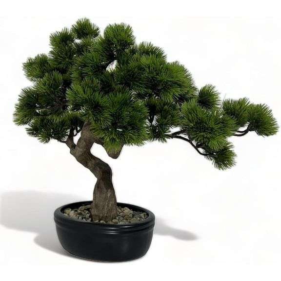 Realistic-Looking Juniper Bonsai Tree