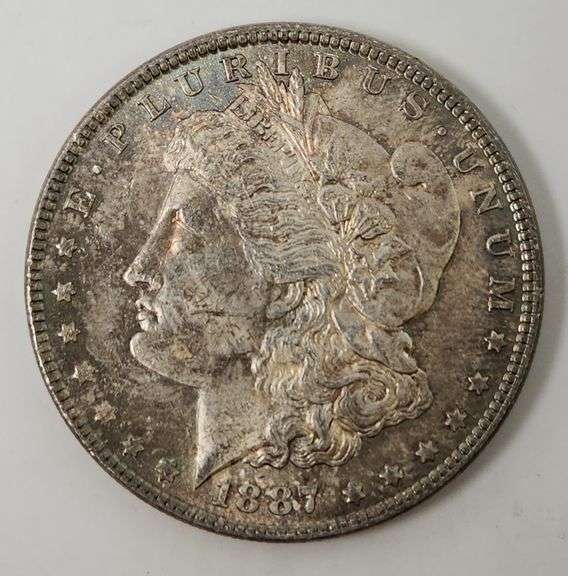 1887 Morgan Dollar, Alligator Eye 12A VAM