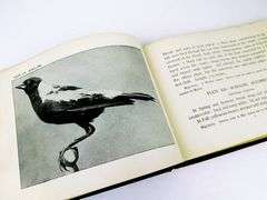 1897 Our Common Birds with 64 Plates, Antique Book