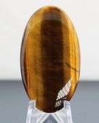 Full body shimmer! 57.66ct golden Tiger Eye cabochon