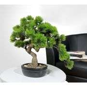 Realistic-Looking Juniper Bonsai Tree